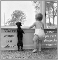 /album/galerie-de-photos-liens2/a4j6pgjrj-jpg/